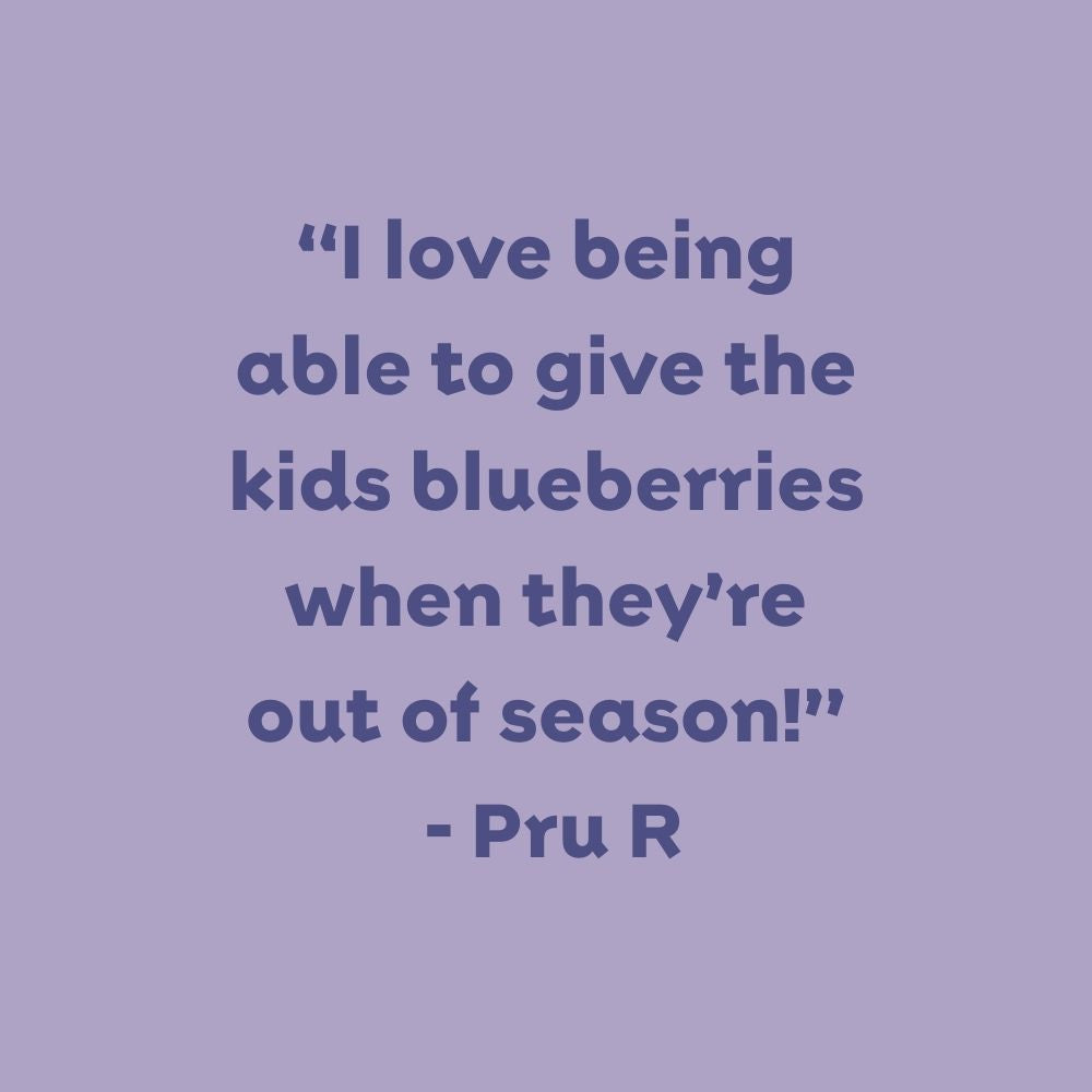 Fruit Crispz - Apple & Blueberry 14 pack