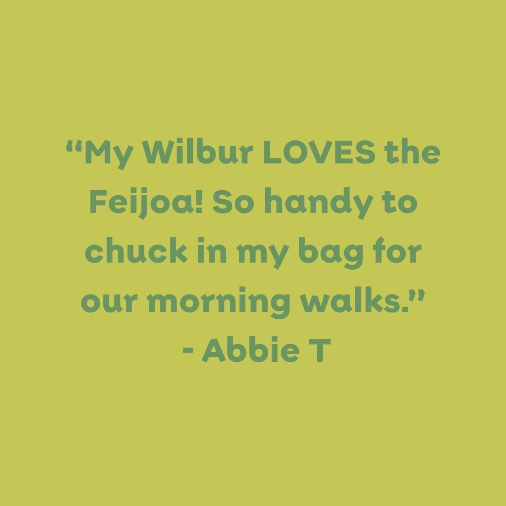 Fruit Crispz - Apple & Feijoa Sticks 14 Pack